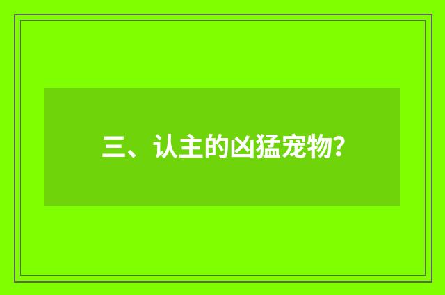 三、认主的凶猛宠物?