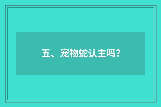 五、宠物蛇认主吗?