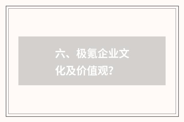 六、极氪企业文化及价值观?