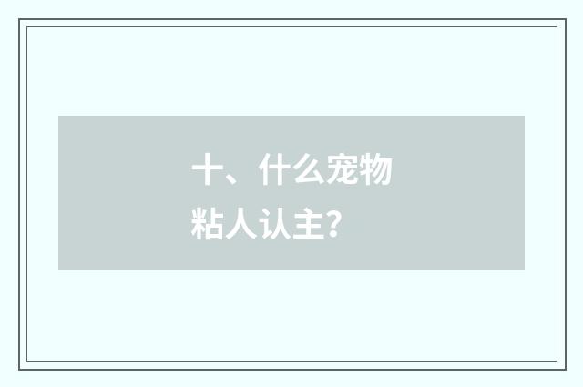 十、什么宠物粘人认主?
