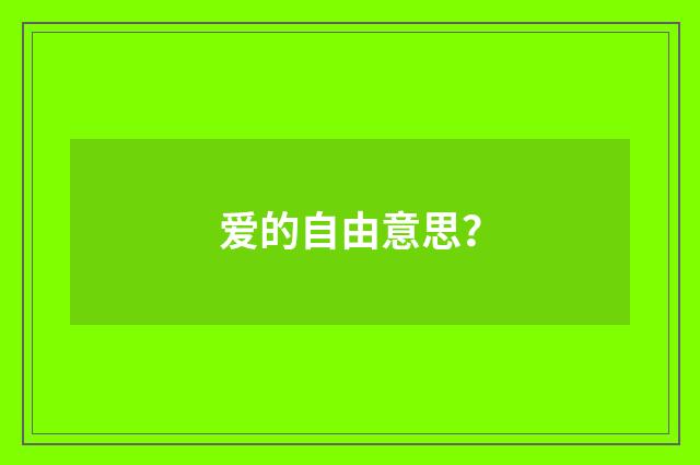 爱的自由意思?