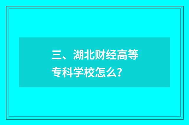 三、湖北财经高等专科学校怎么?