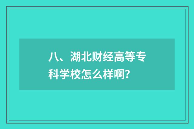 八、湖北财经高等专科学校怎么样啊?