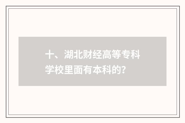 十、湖北财经高等专科学校里面有本科的?