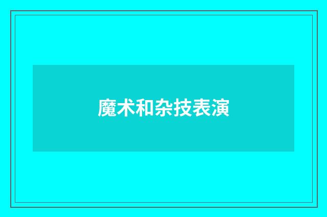 魔术和杂技表演