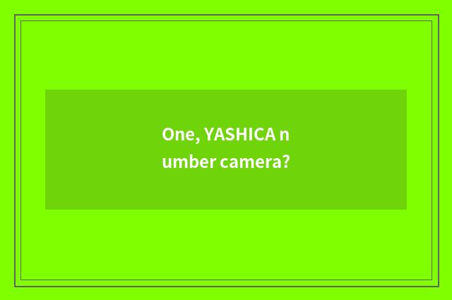 One, YASHICA number camera?