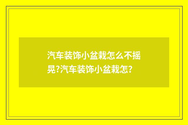 汽车装饰小盆栽怎么不摇晃?汽车装饰小盆栽怎?
