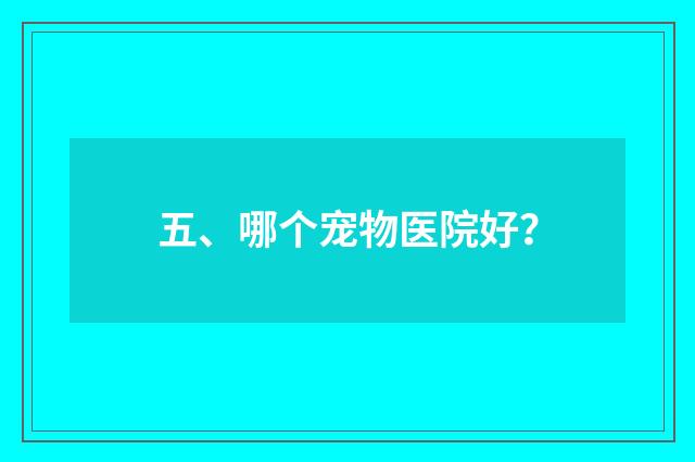 五、哪个宠物医院好?