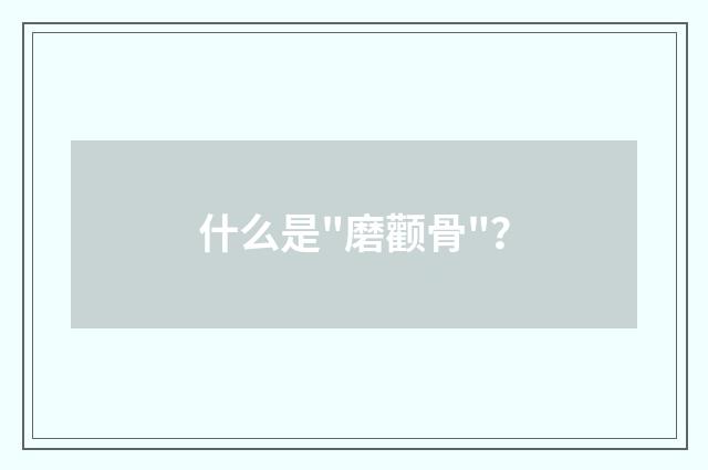 什么是