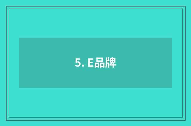 5. E品牌