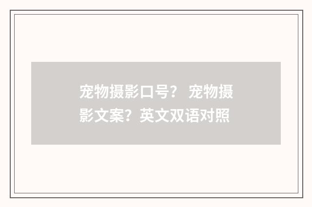 宠物摄影口号？ 宠物摄影文案？英文双语对照