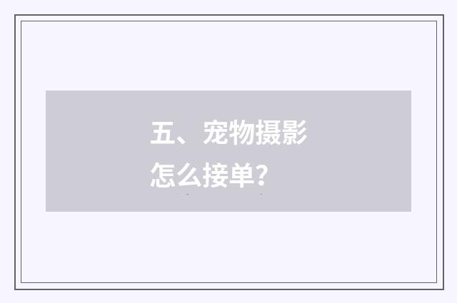 五、宠物摄影怎么接单？