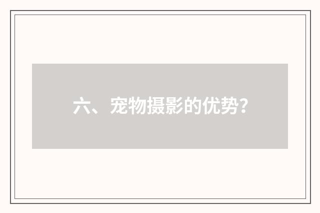 六、宠物摄影的优势？