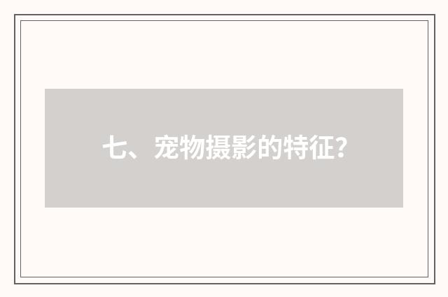七、宠物摄影的特征?