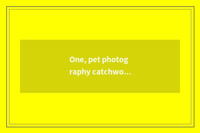 One, pet photography catchword?