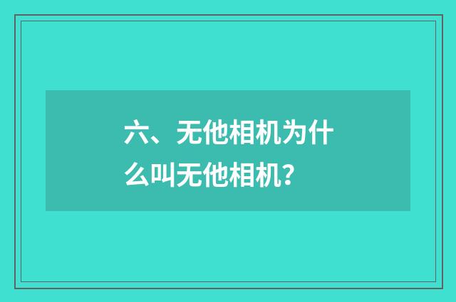 六、无他相机为什么叫无他相机?