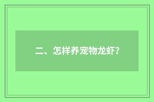 二、怎样养宠物龙虾？