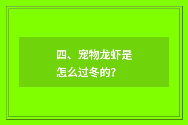 四、宠物龙虾是怎么过冬的?