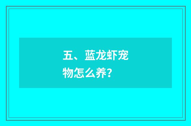 五、蓝龙虾宠物怎么养？