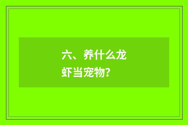 六、养什么龙虾当宠物?