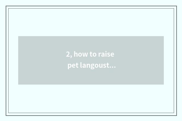 2, how to raise pet langouste?