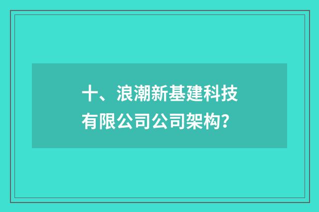 十、浪潮新基建科技有限公司公司架构？