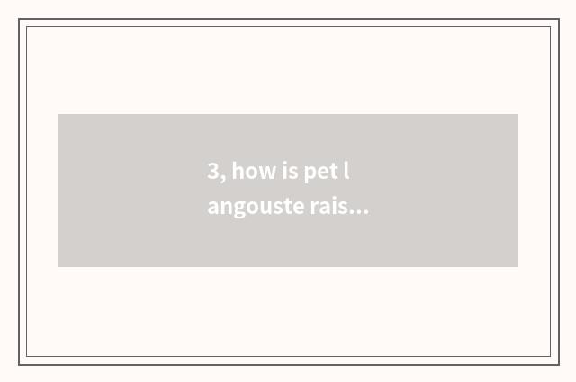3, how is pet langouste raised, what to eat?