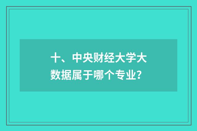 十、中央财经大学大数据属于哪个专业?