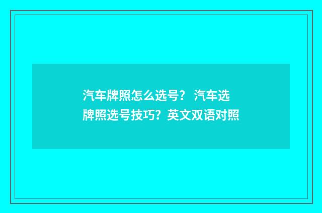 汽车牌照怎么选号? 汽车选牌照选号技巧?英文双语对照