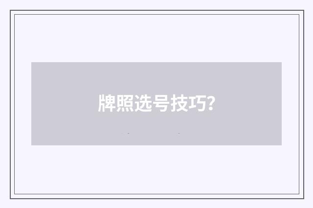 牌照选号技巧？