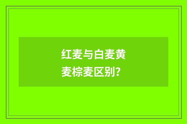 红麦与白麦黄麦棕麦区别？