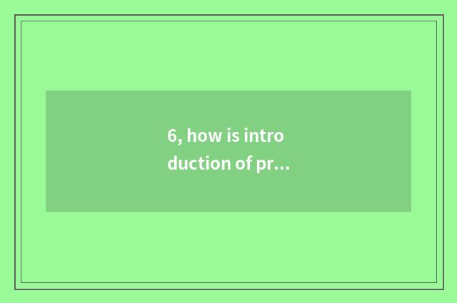 6, how is introduction of project of pet net inn written?