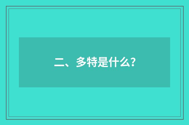 二、多特是什么?