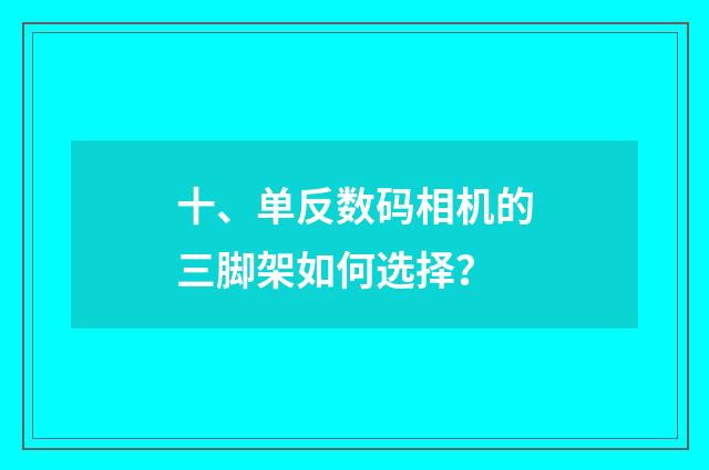 十、单反数码相机的三脚架如何选择?