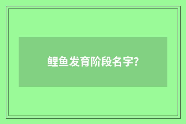 鲤鱼发育阶段名字?