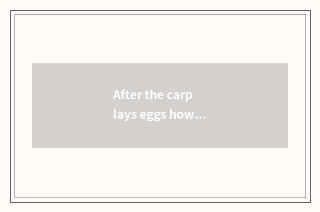 After the carp lays eggs how development?