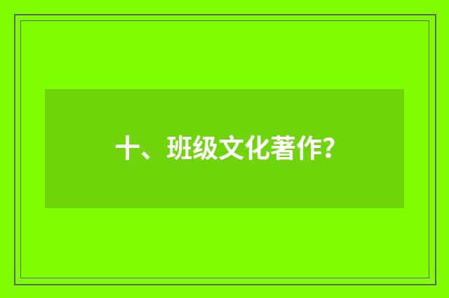 十、班级文化著作?
