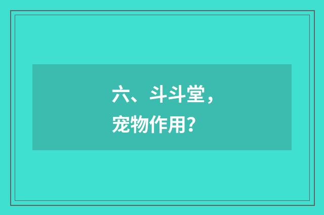 六、斗斗堂，宠物作用？