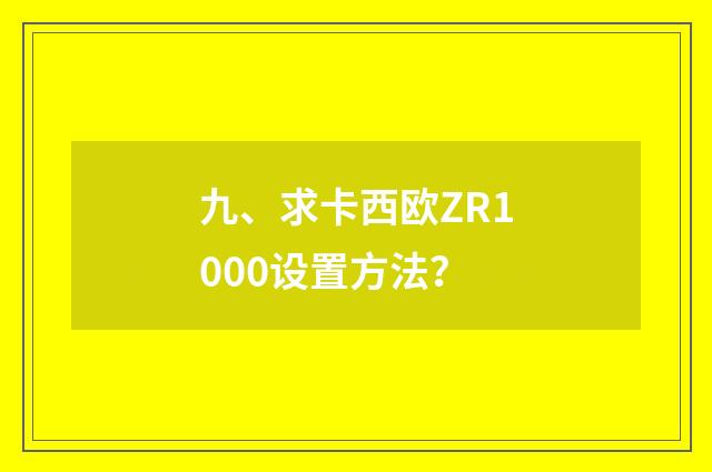九、求卡西欧ZR1000设置方法？