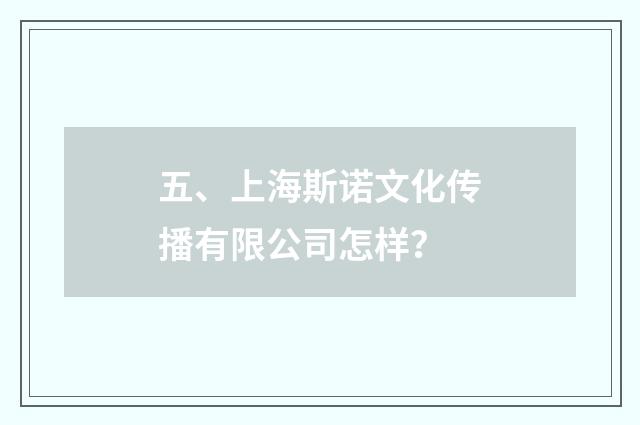 五、上海斯诺文化传播有限公司怎样?