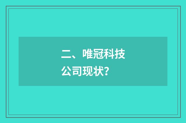 二、唯冠科技公司现状？
