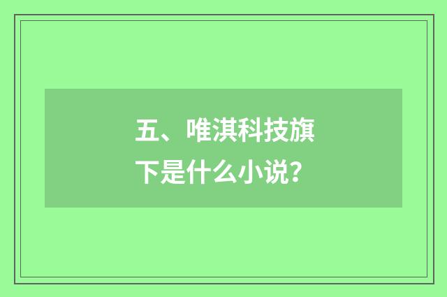 五、唯淇科技旗下是什么小说?