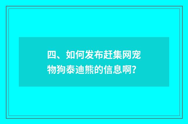 四、如何发布赶集网宠物狗泰迪熊的信息啊?