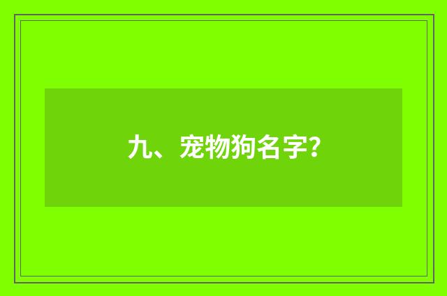 九、宠物狗名字?