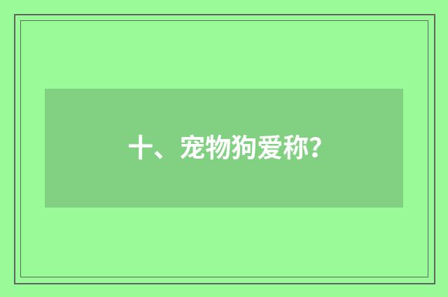 十、宠物狗爱称?