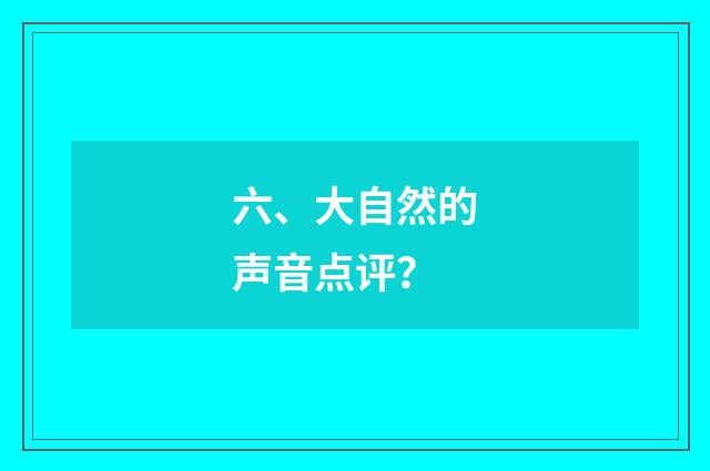 六、大自然的声音点评？