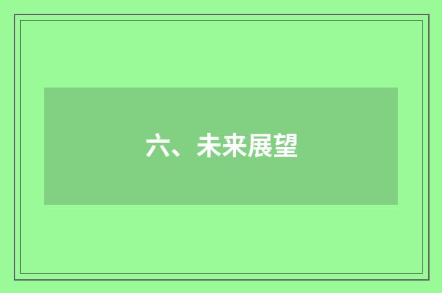六、未来展望