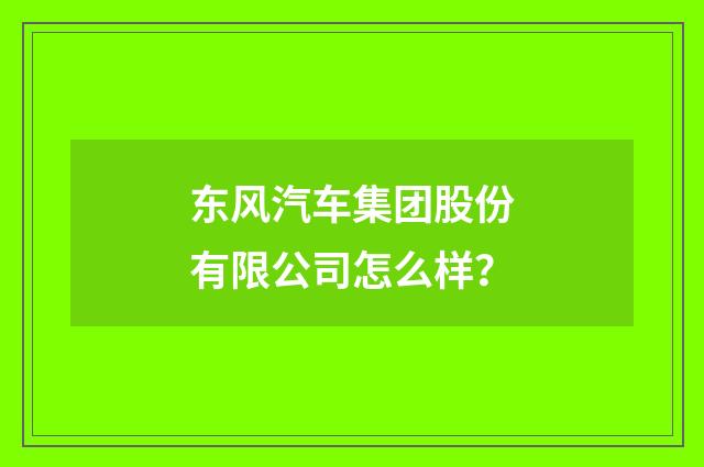 东风汽车集团股份有限公司怎么样?