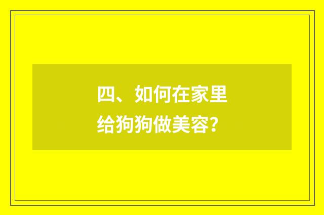 四、如何在家里给狗狗做美容？