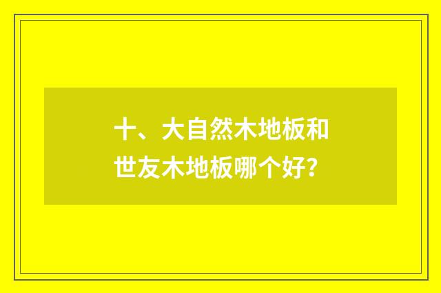 十、大自然木地板和世友木地板哪个好?